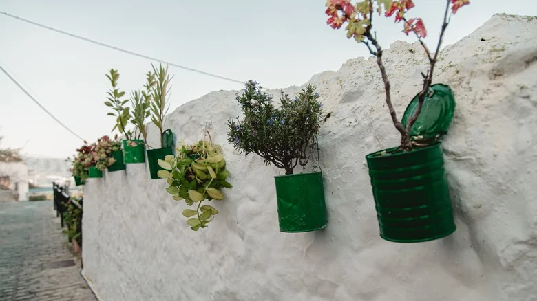 Creative Ways To Upcycle Old Paint Cans To Use In Your Home And Garden