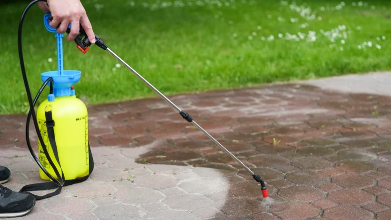 Crucial DIY Weed Killer Tips To Know Before You Spray