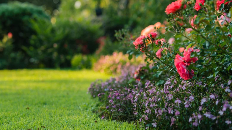Ditch Flowers: Here’s A More Creative Way To Infuse Color Into Your Garden Beds