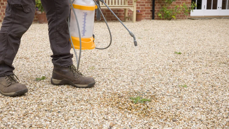 Ditch The Chemicals: This Tool Combo Is A No-Dig Way To Remove Weeds From Gravel Driveways