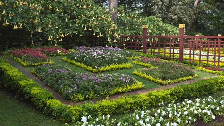 Ditch The Mulch For These 11 Living Plant Alternatives