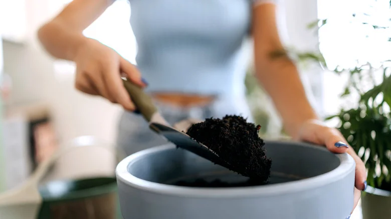 Ditch The Plastic And Dirt: There’s A Better Way To Fill Large Planters