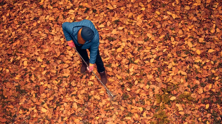 Ditch The Rake And Swap To This Unexpected DIY Solution For Leaves This Fall