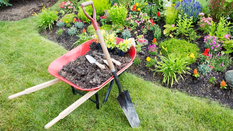 Ditch The Wheelbarrow: This Easy Solution From Amazon Makes Yard Maintenance 10x Easier