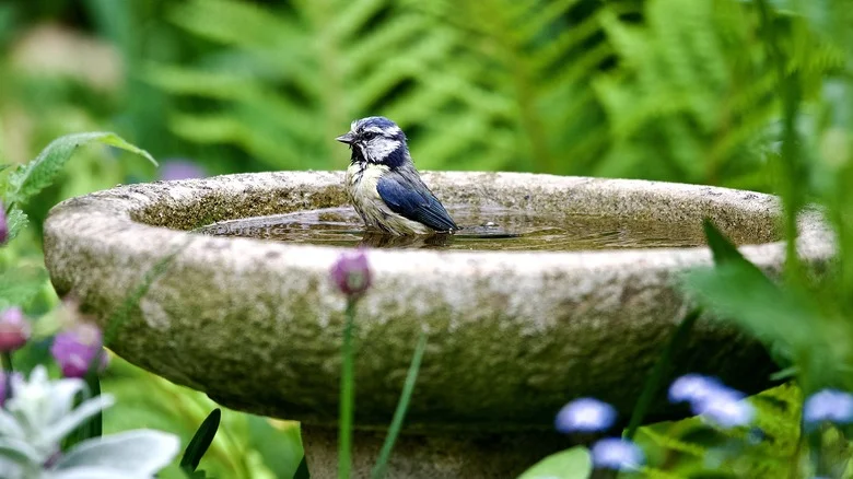 Ditch Traditional Bird Baths For A Lowe’s Find That Doubles As Adorable Garden Decor