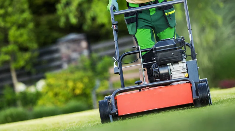 Ditch Traditional Lawn Aerators: There’s A Cheaper Option Sitting In Your Shed Already