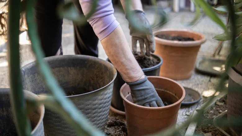 Ditch Traditional Planters: The Affordable Alternative That’ll Save Yard Space