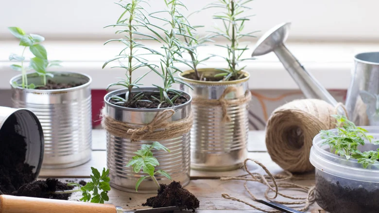 DIY A Beautiful Hanging Herb Garden With This Easy Can Hack