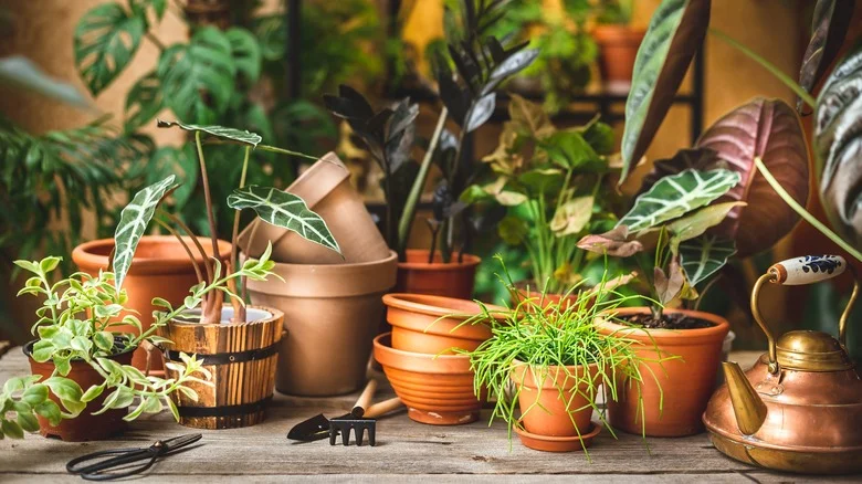 DIY A Rustic Planter Using An All-Natural Element From Your Yard