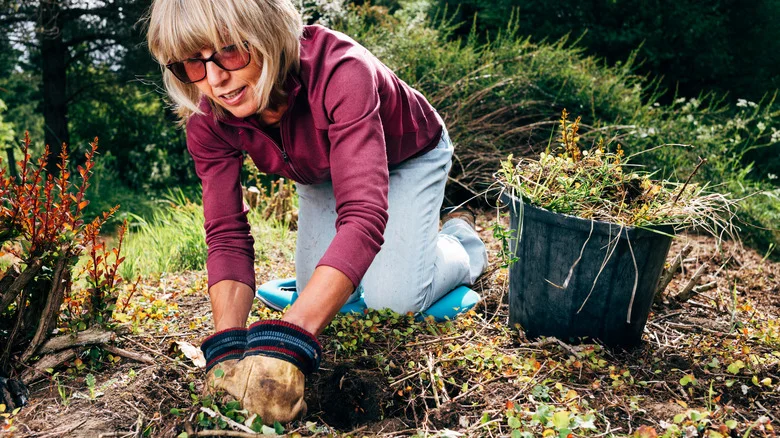DIY A Simple Wire Weeder Tool For Your Vegetable Garden
