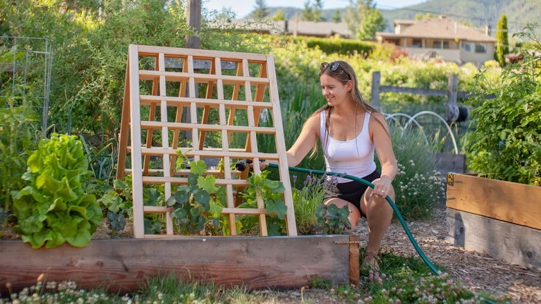 DIY A Strong Garden Trellis On A Budget With Items You May Already Own