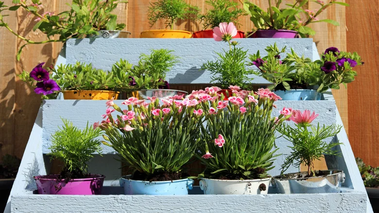 DIY A Unique 3-Tier Outdoor Plant Stand Using Only A Few Materials