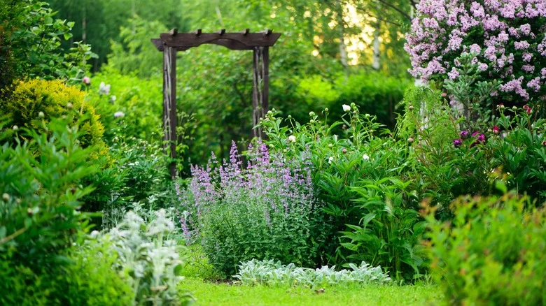 DIY Features To Turn Your Backyard Into A Secret Garden Oasis