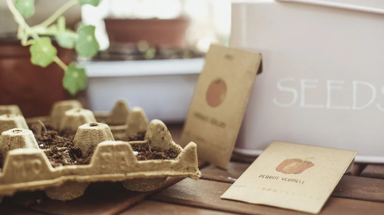 Do Non-GMO Labels On Seed Packets Really Matter To The Home Gardener?