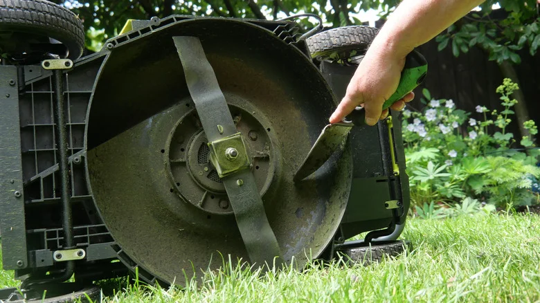 Do This Crucial Step Before Lawn Care To Protect Your Mower Blades
