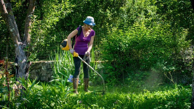 Does A Viral Wheel Attachment Make Using Your String Trimmer Easier? Here’s What We Know