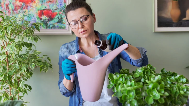 Does Hydrogen Peroxide Kill Plants? Here’s What You Should Know