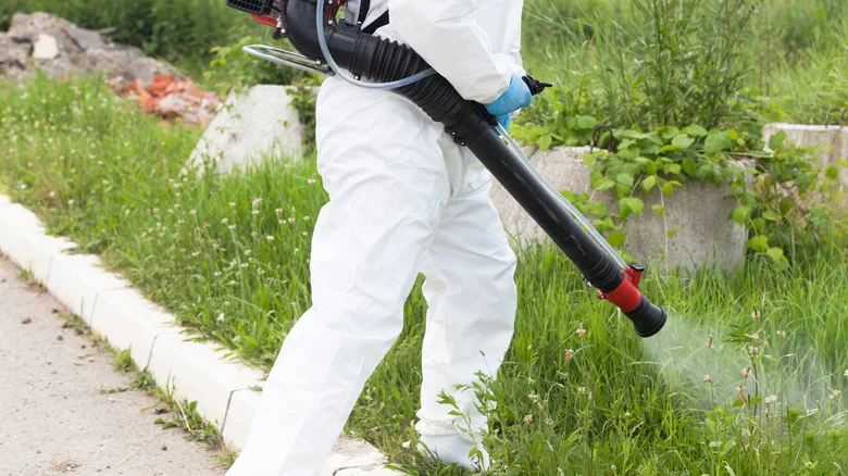 Does Spraying Your Yard For Ticks Really Work?