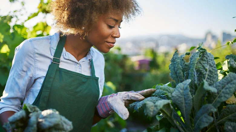Don’t Exterminate This Creepy Pest From Your Garden. Here’s Why