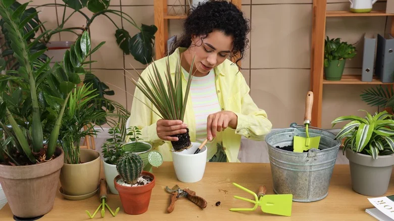 Don’t Reuse Soil In Your Garden Without Considering This First