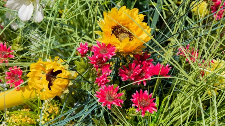 Don’t Skip This Important Step Before Killing Grass Or Weeds In Flower Beds