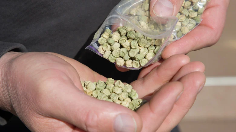 Don’t Start Pea Seeds Indoors: There’s A Better Way For A Flourishing Garden