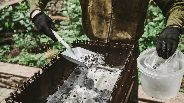 Don’t Throw Away Your BBQ Grill Ash — 28 Plants That Love It