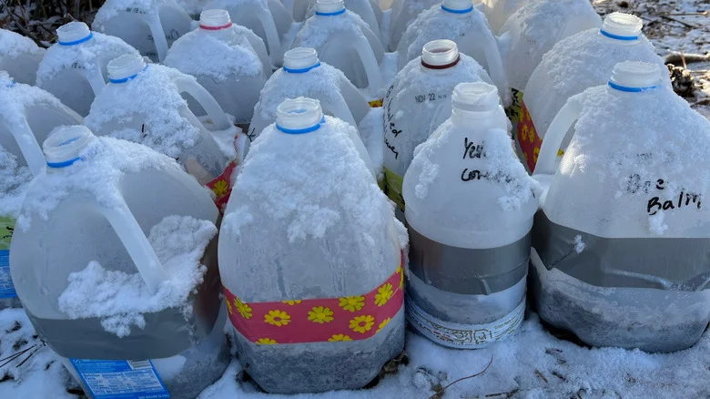 Don’t Throw Out Milk Jugs Without Trying This Easy Yard DIY