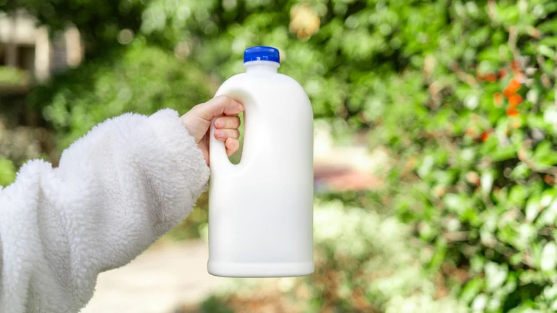 Don’t Throw Out Old Milk Jugs: Reuse Them To Save Your Garden Plants