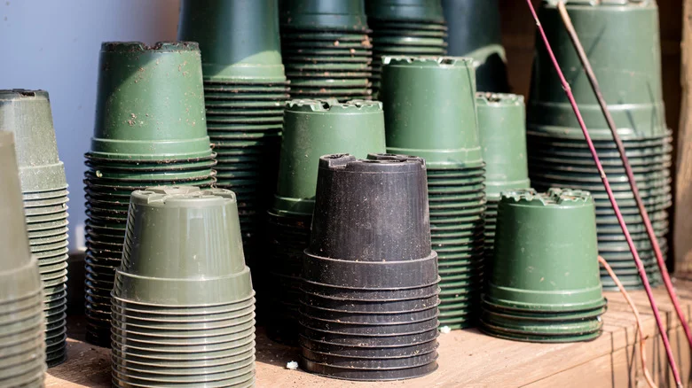 Don’t Throw Out Plastic Nursery Pots — Use Them To Boost Your Houseplant’s Airflow