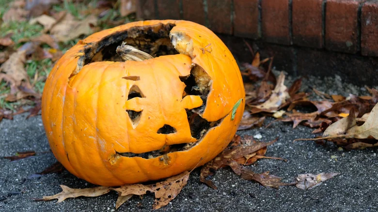Don’t Throw Out Rotting Pumpkins, Add Them To Compost & Improve Your Soil’s Quality