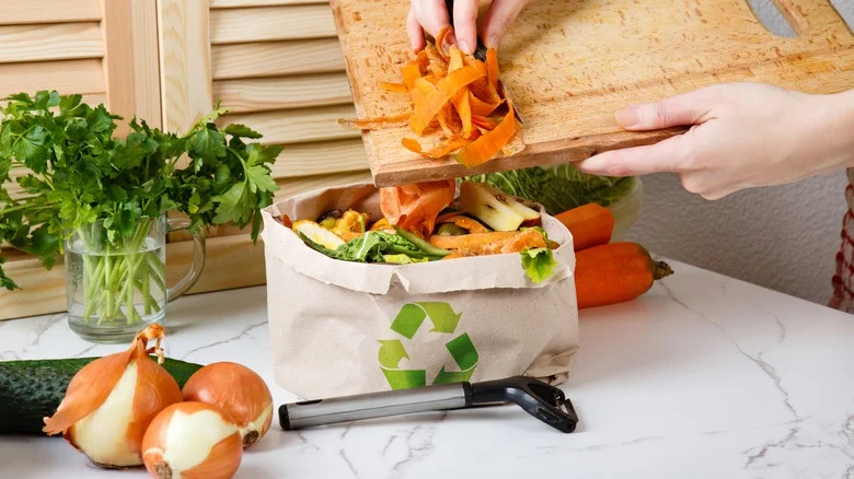 Don’t Throw Out These Kitchen Scraps, Use Them In A DIY Plant Fertilizer Instead
