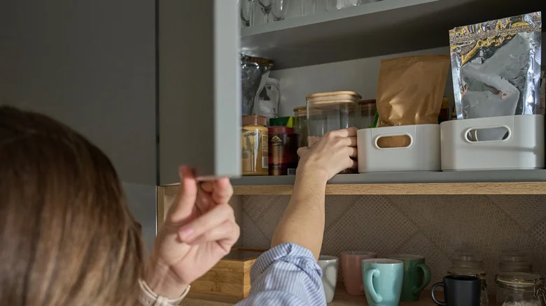 Don’t Throw Them Out: The Kitchen Trash You Could Be Adding To Your Compost