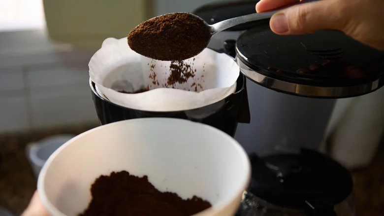 Don’t Toss Coffee Grounds- Here Are 10 Fall Plants That Benefit From The Kitchen Scrap