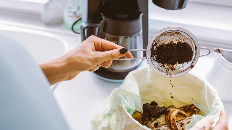 Don’t Toss Coffee Grounds Into Your Compost Pile Without Knowing This
