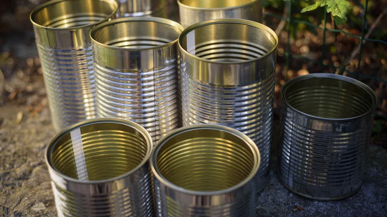 Don’t Toss Empty Cans – Turn Them Into Adorable Garden Decor