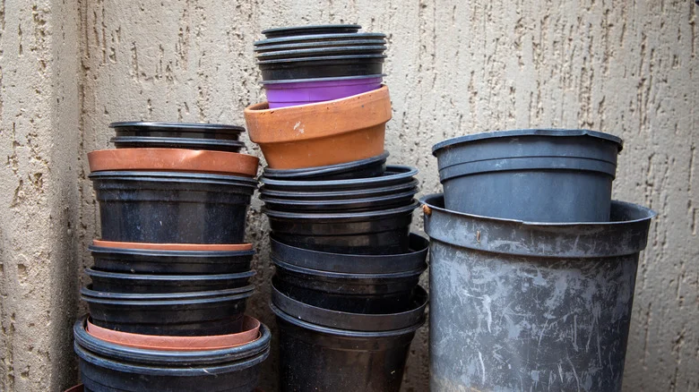 Don’t Toss Old Plastic Nursery Pots, Reuse Them For A Clever Gardening Hack