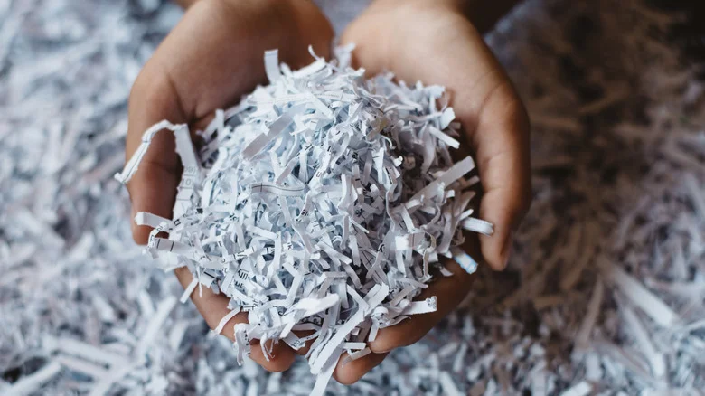 Don’t Toss Shredded Paper – Save It For This Clever End-Of-Season Garden Hack