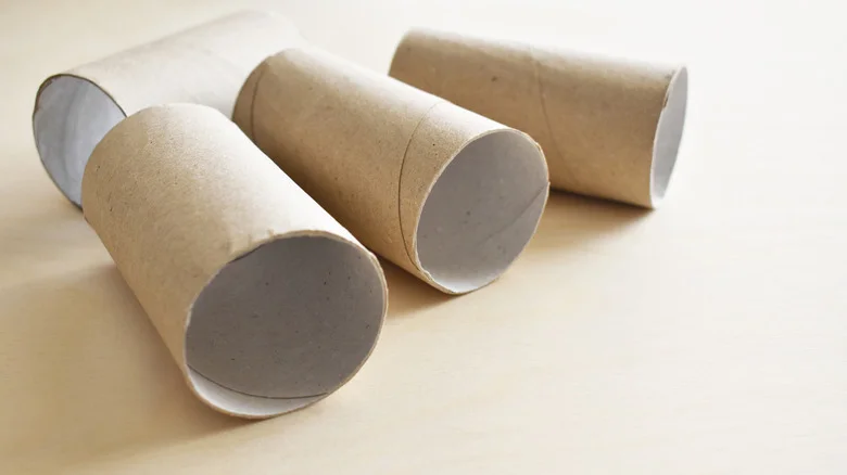Don’t Toss Toilet Paper Rolls: Turn Them Into Mini Planter Holders