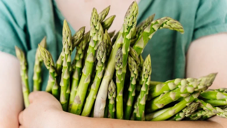 Don’t Try Regrowing Asparagus From Grocery Store Produce. Do This Instead