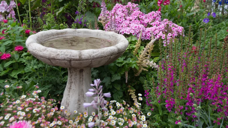 Easily Clean Your Birdbath With A Medicine Cabinet Essential You Already Own