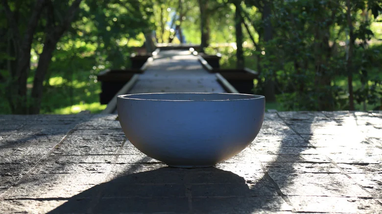 Easily Hide Backyard Eyesores With A Simple Dollar Tree Bowl DIY