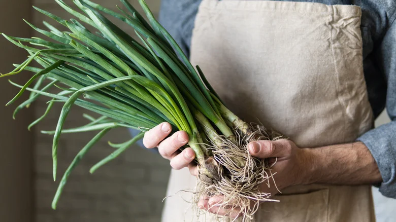Easily Regrow Onions With This Genius Egg Carton Hack