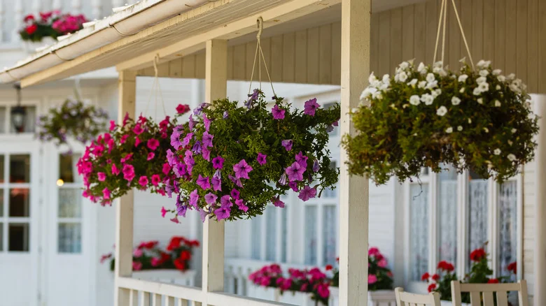 Easily Transform A Hanging Planter Into A Charming DIY Birdbath For Your Garden