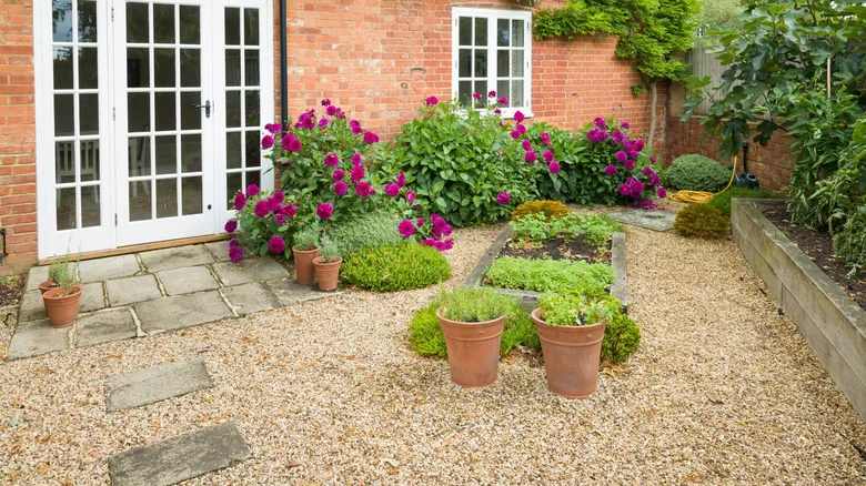 Easy-To-Grow Herbs That Are Perfect For Gravel Gardens