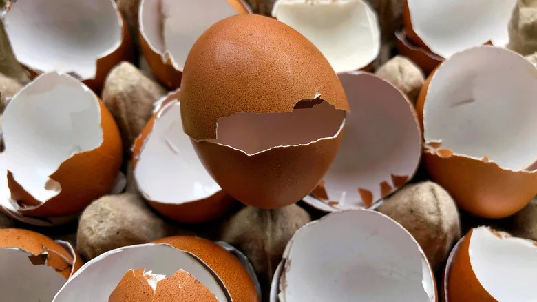 Eggshells Work Wonders In Your Garden — Just Not For This Particular Purpose