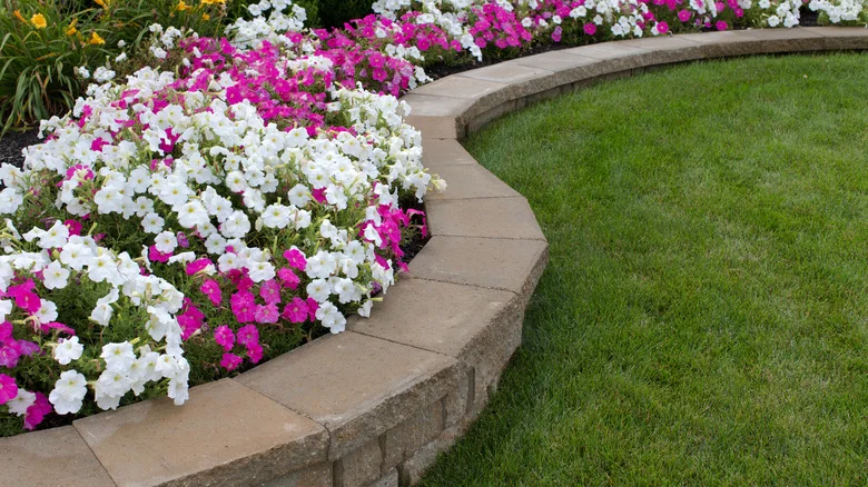 Elevate Your Garden With A DIY Curved Retaining Wall For Expanding Flower Beds