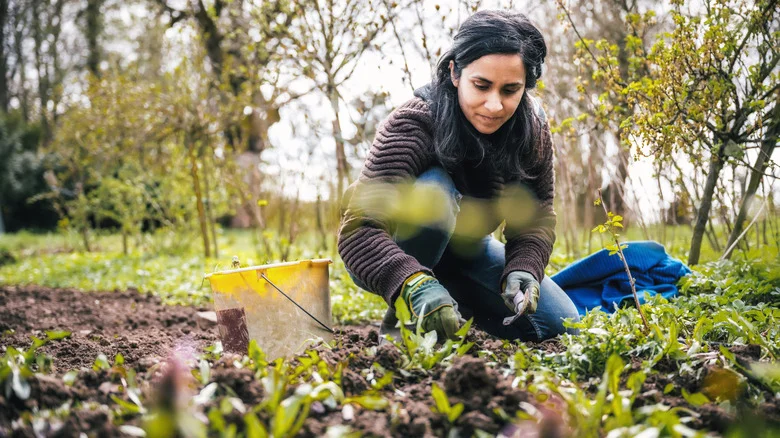 Eliminate Invasive Weeds In Flower Beds With These Tips From Our Garden Coach