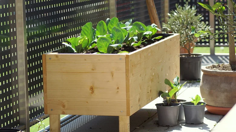 Essential DIY Wooden Planters Tips For Thriving Plants