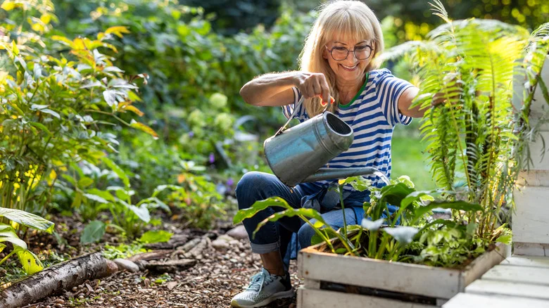 Essential Garden Prep Tasks That Start In March For A Thriving Harvest